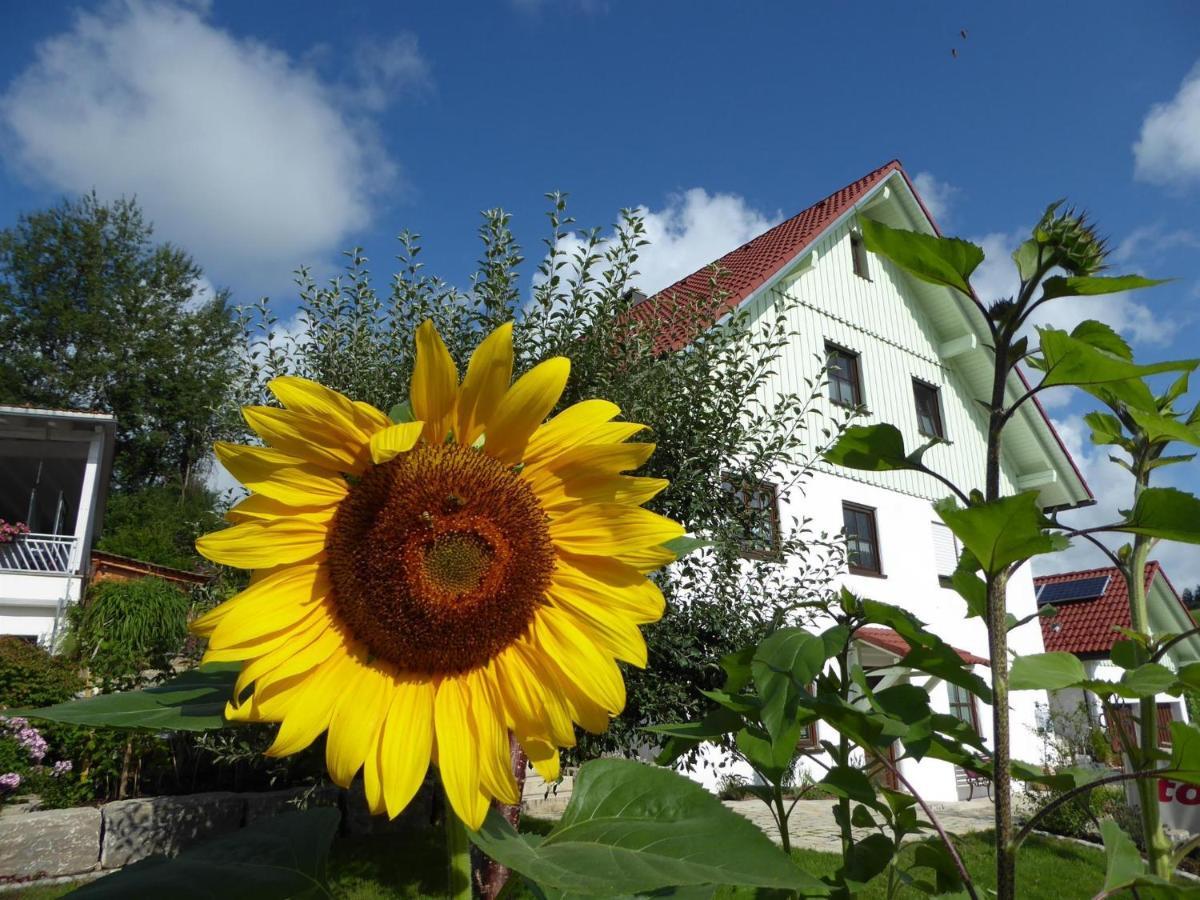 Erholungsraum Karsee - Ferienwohnung Wangen im Allgaeu Exterior photo